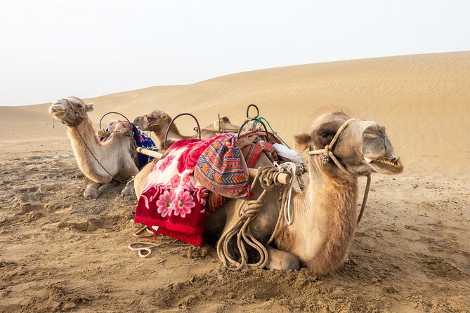 Full Day Tour to Desert Trip in Agadir With Lunch - Optional Activities