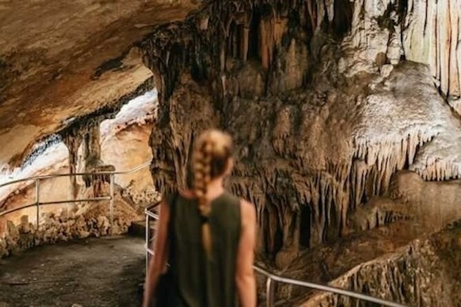 Full-day Tour to Drach Caves and Portocristo Town - Inclusions in the Tour Package