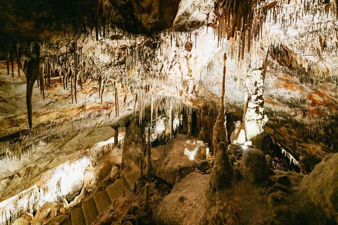 Full-day Tour to Drach Caves and Portocristo Town - Exploring the Drach Caves
