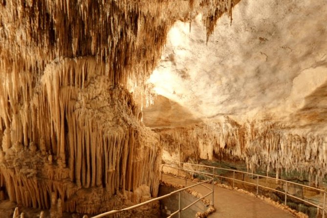 Full-day Tour to Drach Caves and Portocristo Town - Panoramic Views and Pearl Shop