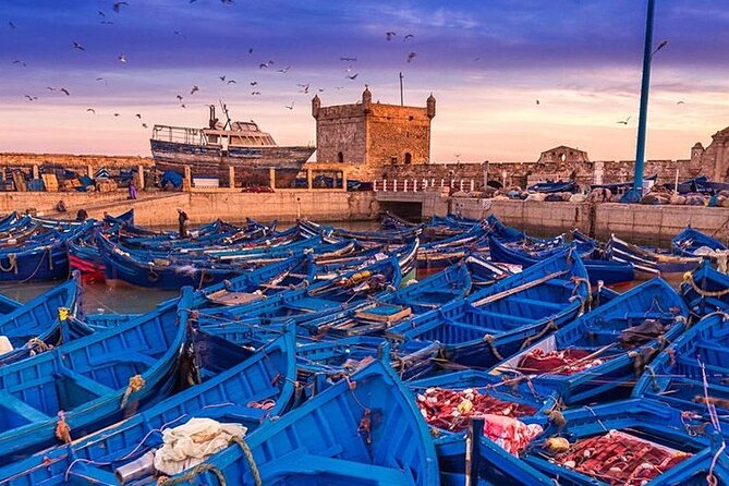Full Day Tour to Essaouira From Marrakech - Tour Highlights