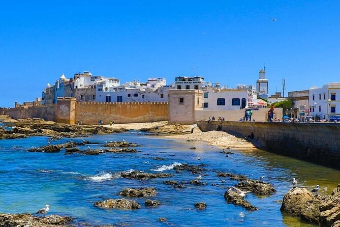 Full Day Tour to Essaouira From Marrakech - Reviews and Customer Feedback