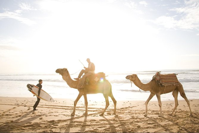 Full-Day Tour to Essaouira - the Ancient Mogador City From Marrakech - Guided Walking Tour