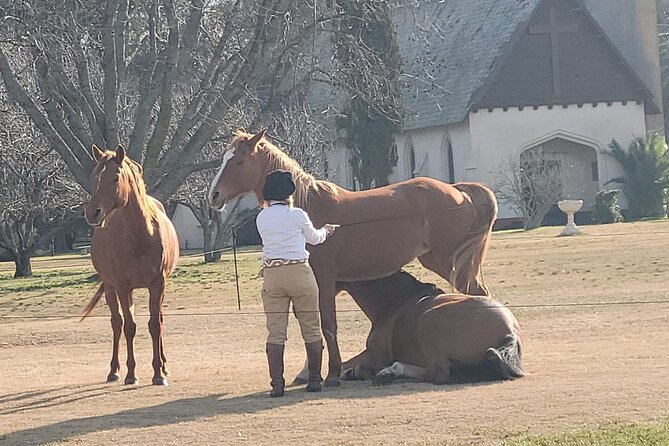 Full Day Tour to Estancia La Candelaria - Pickup Information