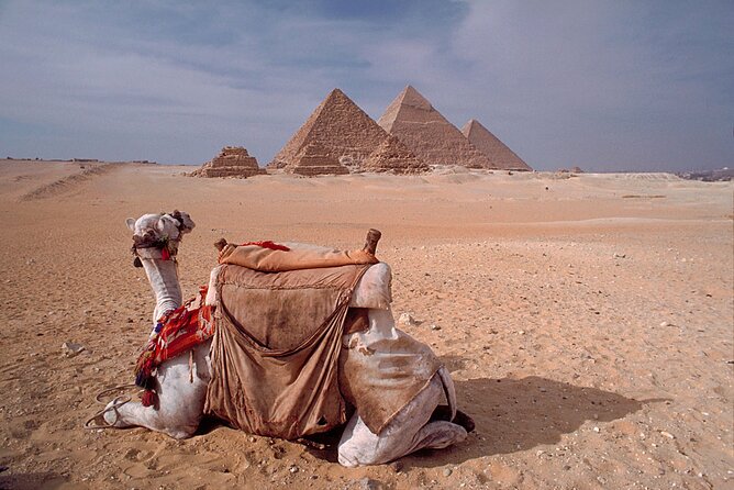 Full-Day Tour to Giza With Camel Ride and Egyptian Museum - Booking Process