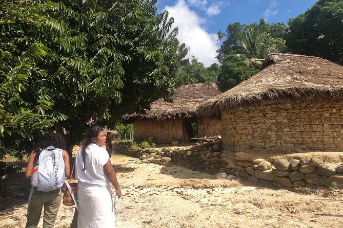 Full Day Tour to Gotsezhy Indigenous Town in Santa Marta - Key Points