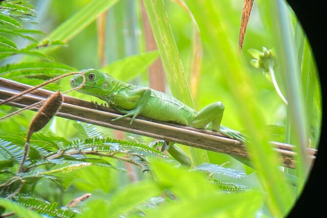 Full Day Tour to Hacienda Baru and Nauyaca Waterfalls - Tour Schedule