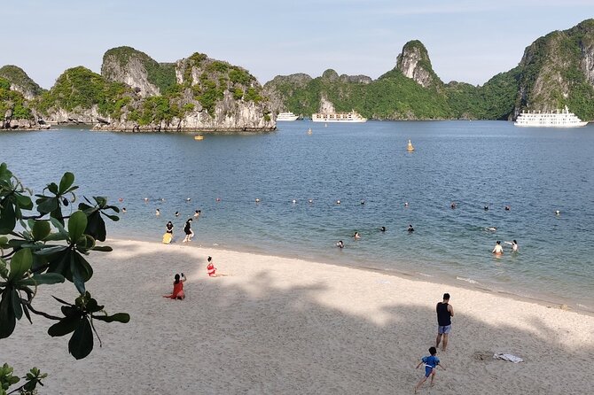 Full Day Tour to Halong With Cave and Titop Island From Hanoi - Inclusions
