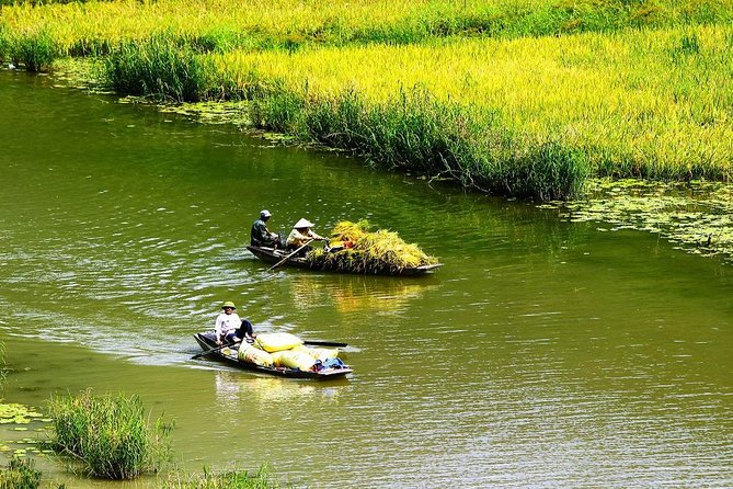 Full Day Tour to Hoa Lu - Tam Coc in Ninh Binh - Reviews and Feedback