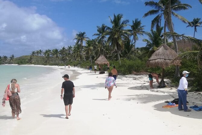 Full Day Tour to Isla Contoy and Isla Mujeres From Cancun - Traveler Reviews and Ratings