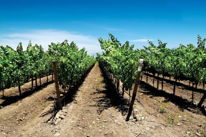 Full-Day Tour to Isla Negra, Algarrobo & Undurraga Winery - Sightseeing Highlights