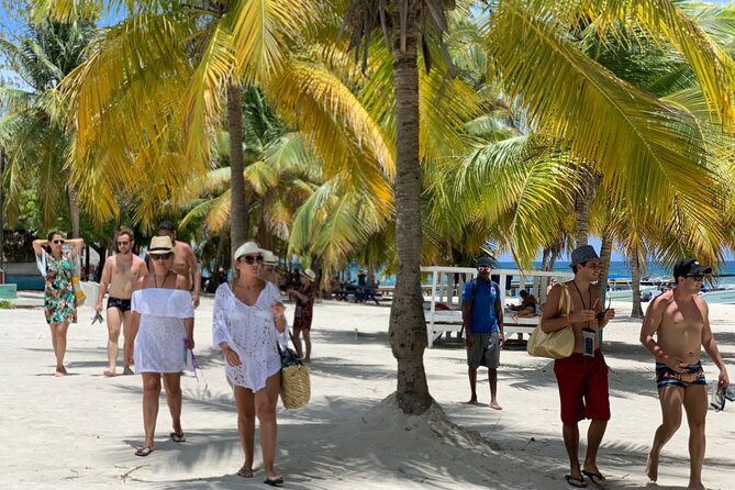 Full Day Tour to Isla Saona and Altos De Chavon - About Your Stay