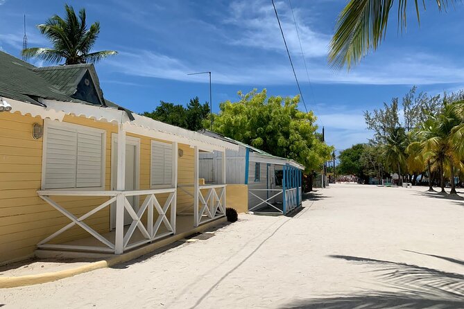 Full Day Tour to Isla Saona and Altos De Chavon - Accessibility and Participation