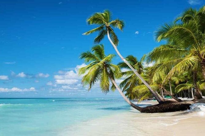 Full Day Tour to Isla Saona and Altos De Chavon - Exploring Isla Saona