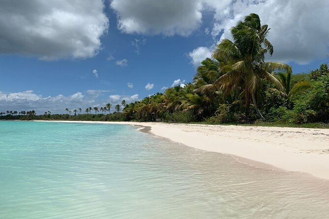 Full Day Tour to Isla Saona and Altos De Chavon - Feedback and Reviews