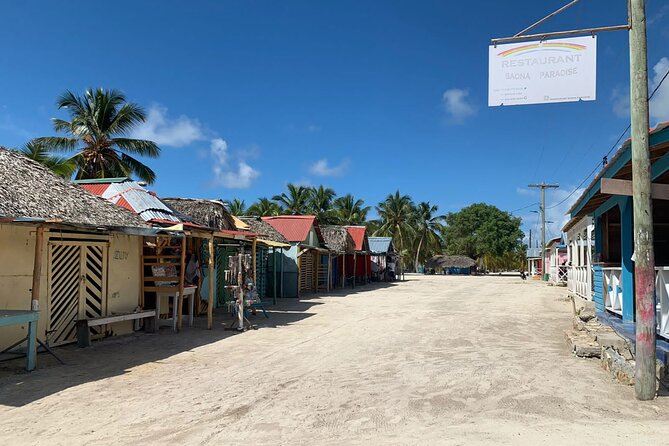 Full Day Tour to Isla Saona and Altos De Chavon - Making the Most of the Tour