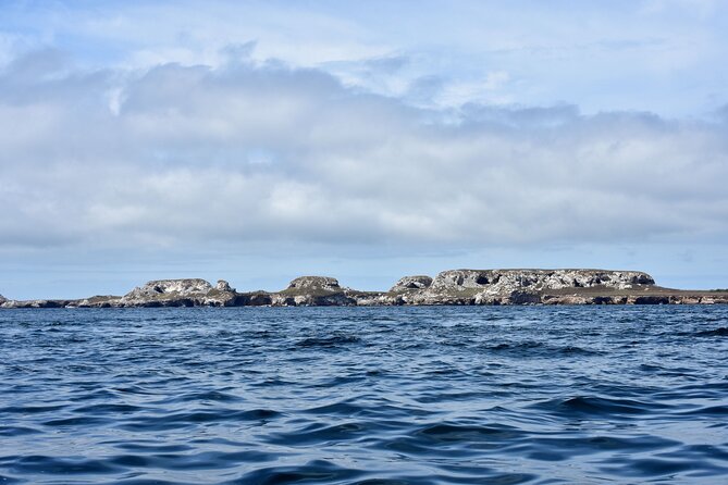 Full Day Tour to Islas Marietas, Nopalera Beach in Catamaran - What to Expect