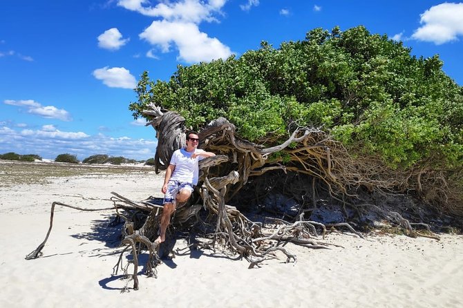 Full Day Tour to Jericoacoara From Fortaleza - Pickup and Schedule