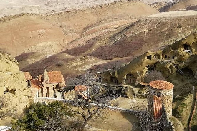 Full Day Tour to Kakheti: David Gareja and Signagi Town - Review Summary