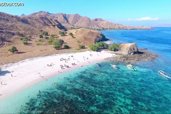 Full Day Tour to Komodo Island by Speed Boat to Explore 6 Destinations - Pickup and Schedule