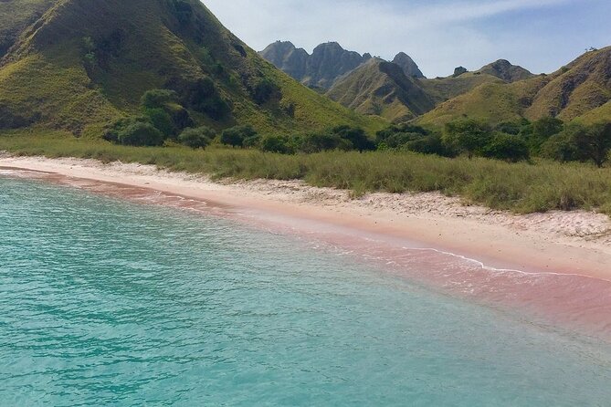 Full Day Tour to Komodo Island by Speed Boat to Explore 6 Destinations - Scenery and Highlights