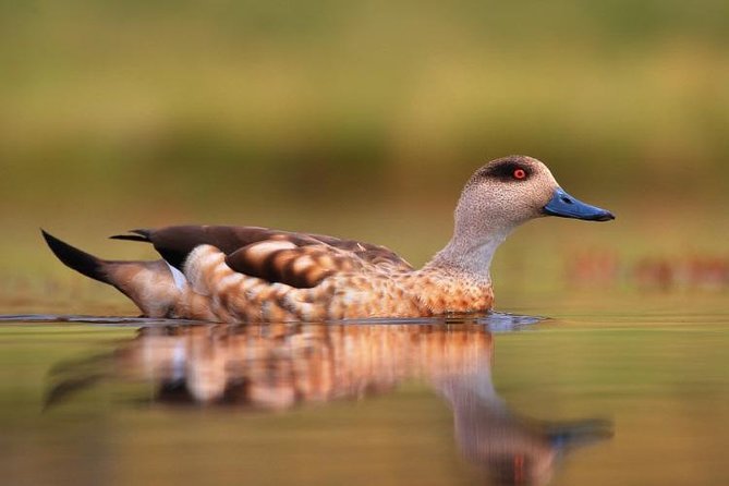 Full-Day Tour to Laguna De Los Pozuelos From Tilcara - Inclusions and Amenities