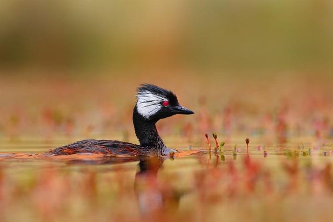 Full-Day Tour to Laguna De Los Pozuelos From Tilcara - Preparation and Packing Tips