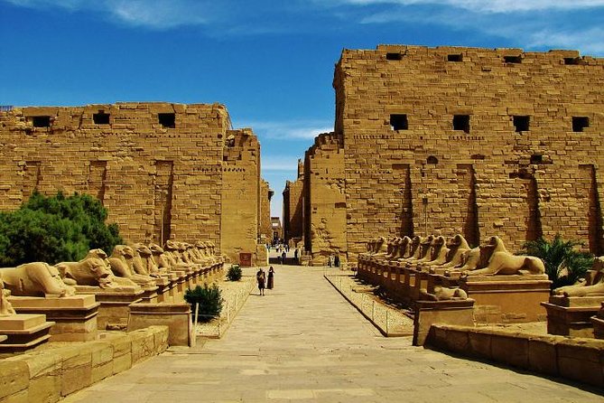 Full Day Tour to Luxor From Airport - Tour Participation