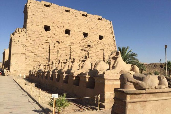 Full Day Tour to Luxor From Airport - Luxor International Airport