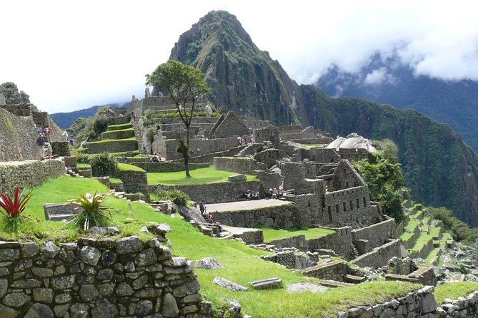 Full-Day: Tour to Machu Picchu by Vistadome Train - Customer Feedback and Insights