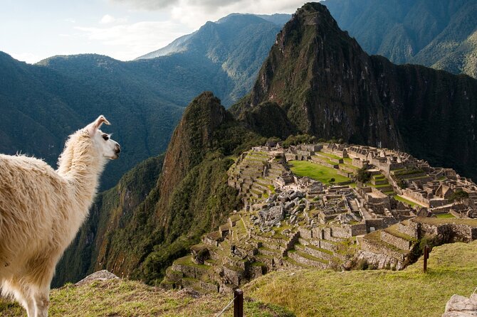 Full Day Tour to Machupicchu - Inclusions