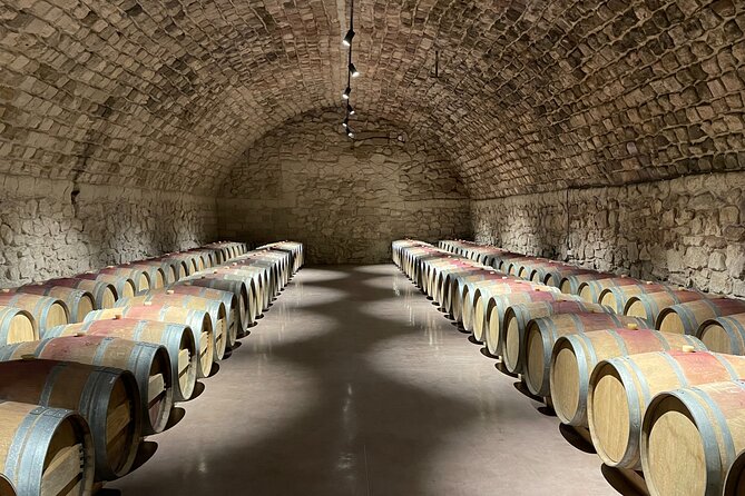 Full Day Tour to Mimi Castel With Wine Tasting - Participant Guidelines