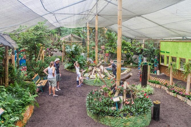 Full Day Tour to Mindo With Friends! (English) - Key Points