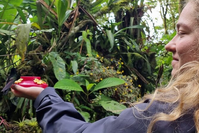 Full Day Tour to Mindo With Friends! (English) - Group Details