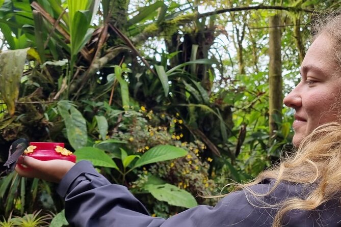 Full Day Tour to Mindo With Friends! (English) - Tour Highlights