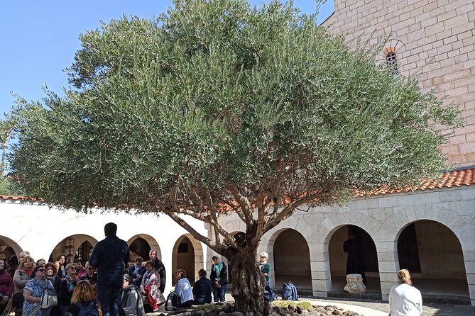 Full Day Tour to Nazareth and the Sea of Galilee - Reviews and Ratings