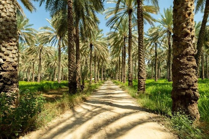Full Day Tour to Nizwa Souq, Castle & Fort, Barakat Al Mouz - Booking Details