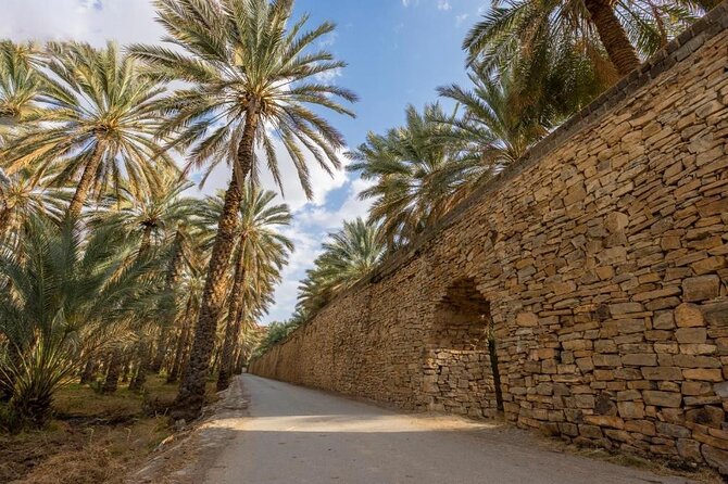 Full Day Tour to Nizwa Souq, Castle & Fort, Barakat Al Mouz - What to Expect