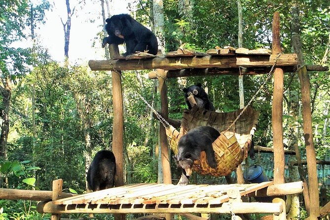 Full Day Tour To Pak Ou Caves, Traditional Village & Kuang Si Waterfall - Kuang Si Waterfall