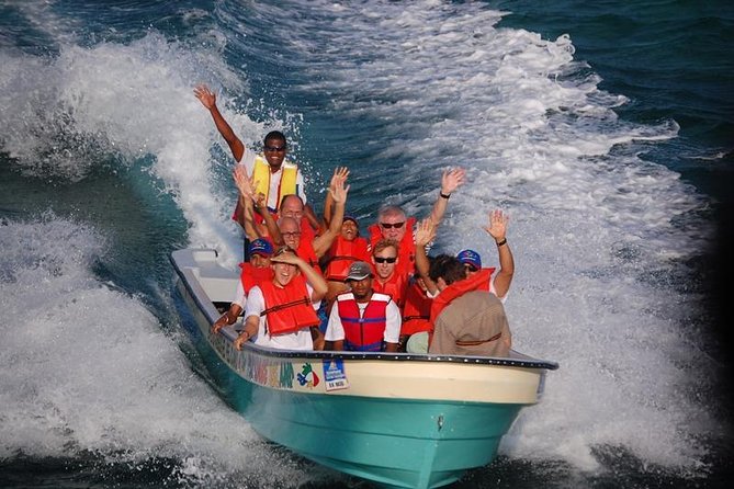 Full Day Tour to Paradise Island - Cayo Arena - Inclusions