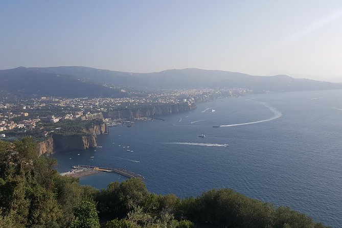 Full Day Tour to Pompei With Guide, Sorrento,Positano From Napoli/Salerno/Amalfi - Private Transportation and Guide