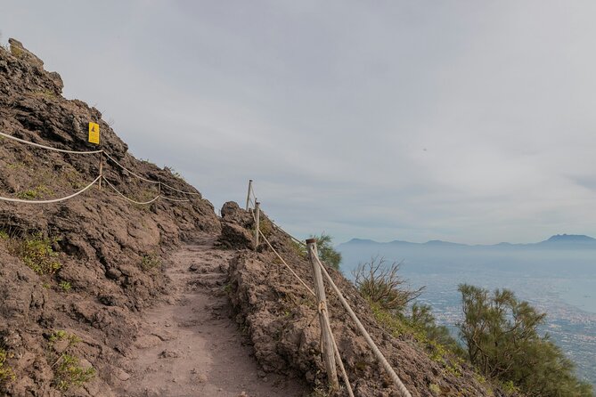 Full Day Tour to Pompeii, Vesuvius and Wine Tasting - Reviews