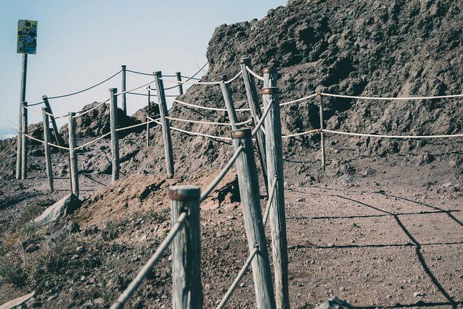 Full Day Tour to Pompeii, Vesuvius and Wine Tasting - Highlights of the Tour