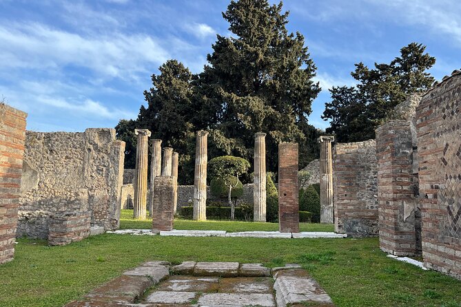 Full Day Tour to Pompeii, Vesuvius and Wine Tasting - Discovering Vesuvius and Wine Tasting