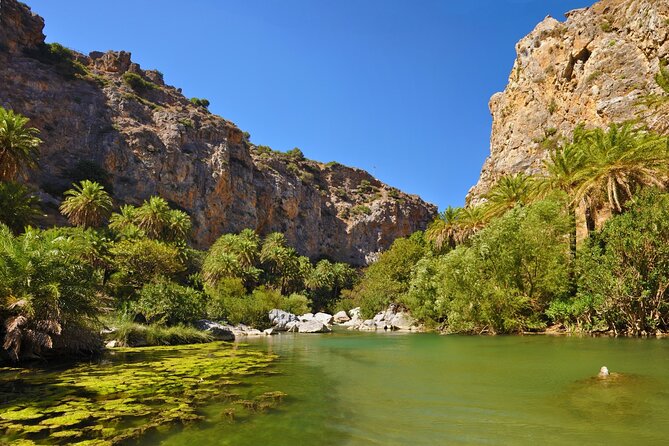 Full-Day Tour to Preveli Palm Beach From Heraklion - Accessibility and Traveler Reviews