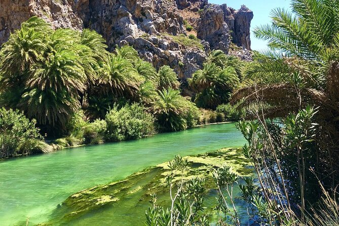 Full-Day Tour to Preveli Palm Beach From Heraklion - Highlights of the Palm Grove