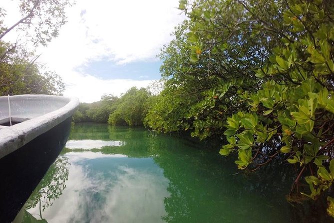 Full-Day Tour to Punta Rucia and Cayo Arena With Snorkeling - Traveler Reviews and Feedback