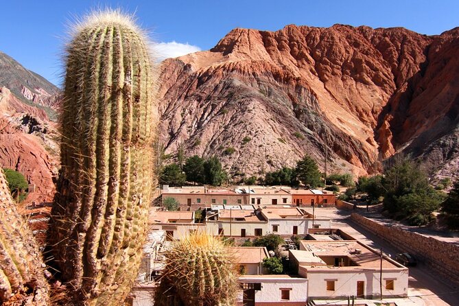 Full-Day Tour to Salinas Grandes and Purmamarca From Salta - Accessibility and Recommendations