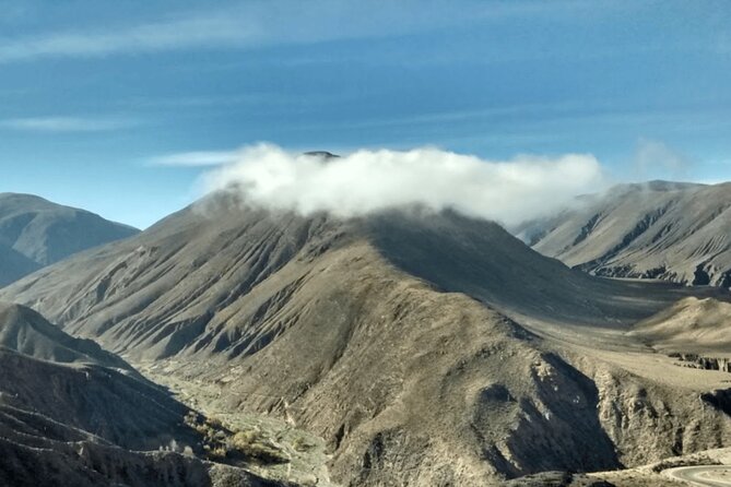 Full-Day Tour to Salinas Grandes and Purmamarca From Salta - Customer Feedback and Ratings