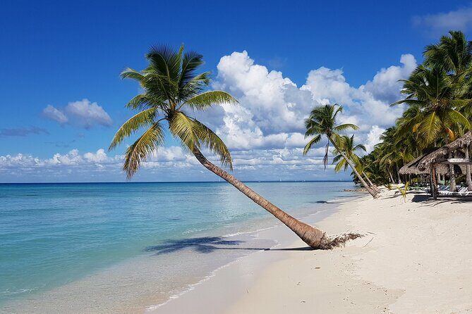 Full-Day Tour to Saona Island from Bayahibe with Lunch - Key Points